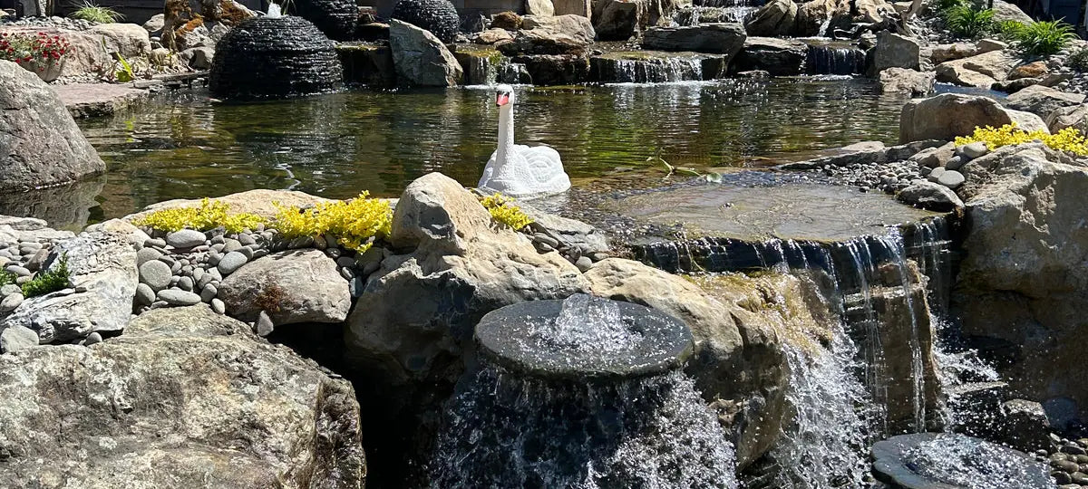 Cold Spring harbor Waterfall