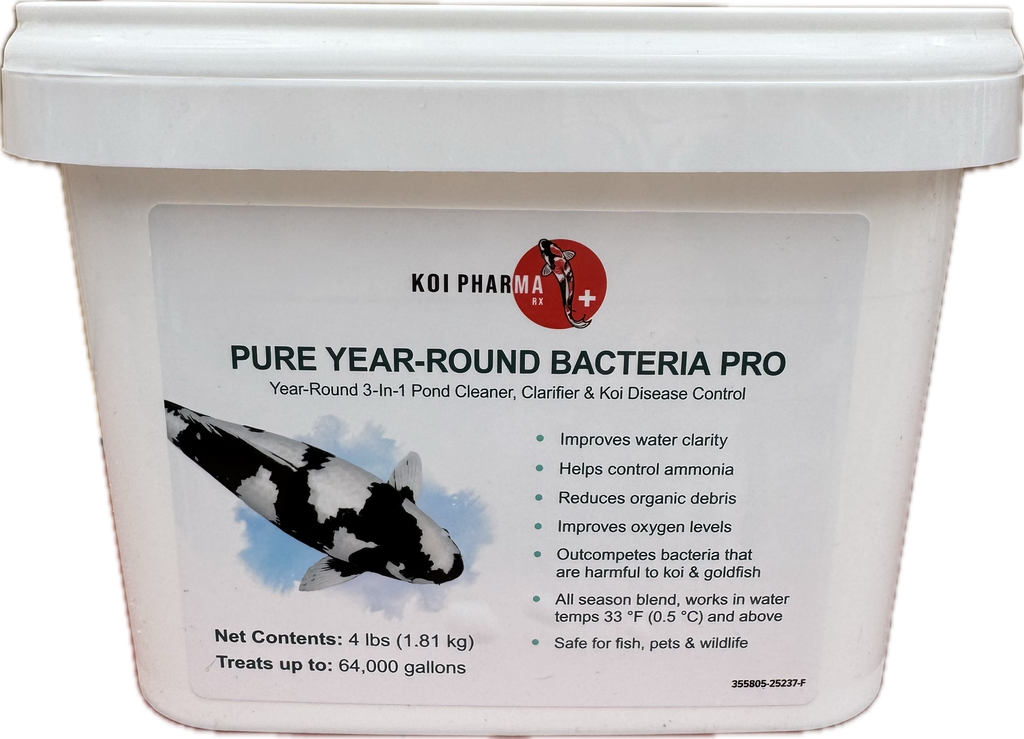 Koi pharma PURE YEAR-ROUND BACTERIA PRO