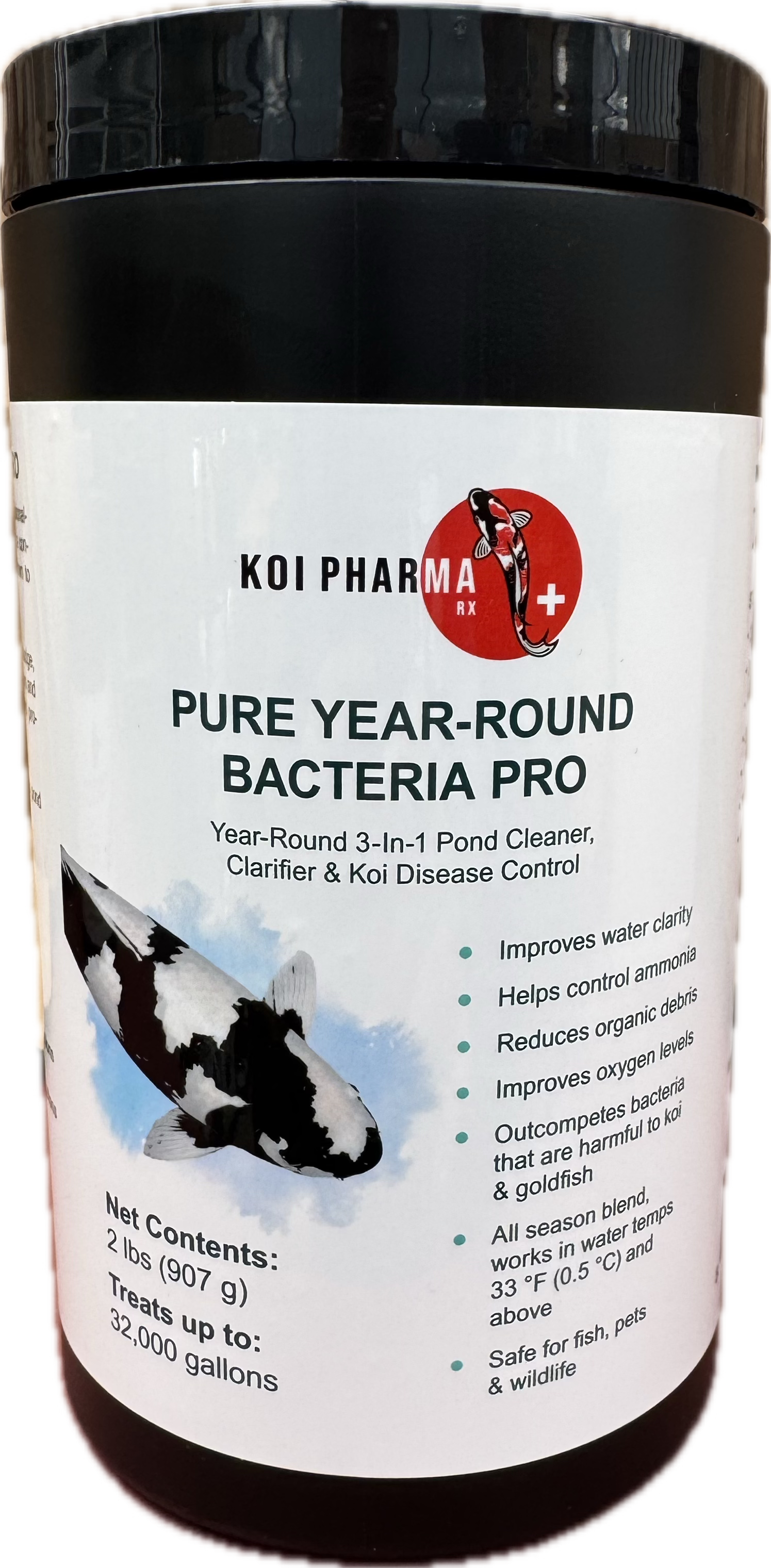 Koi pharma PURE YEAR-ROUND BACTERIA PRO