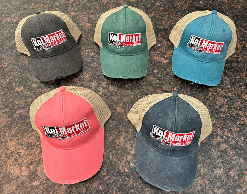 Koi Market Hats (Distressed Ollie Cap)