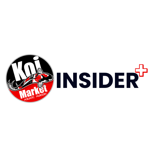 Insider + Membership