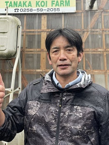 Kazuhiro Hoshino of Tanaka Koi Farm (Hoshino)