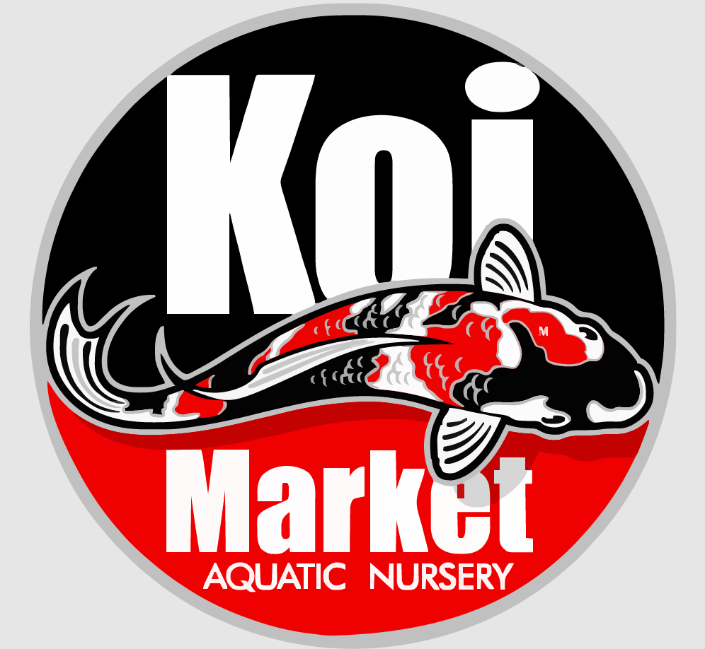 TRANS INSTRUMENTS SALT CALIBRATION BUFFER SOLUTION 78940 – Koi Market